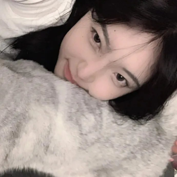 爱情至上