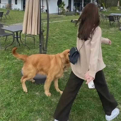 蓬门绮梦